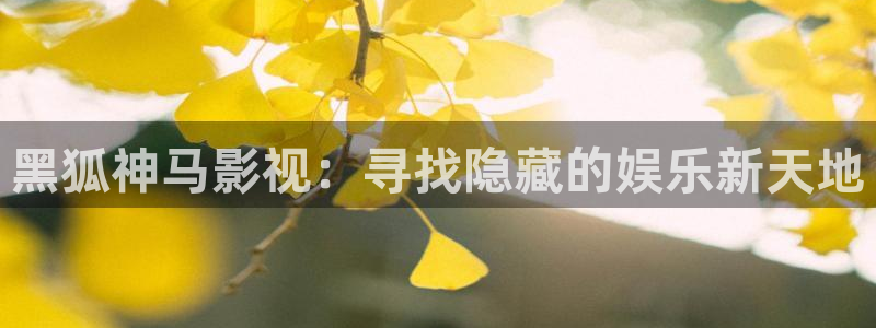 51视频免费观看视频